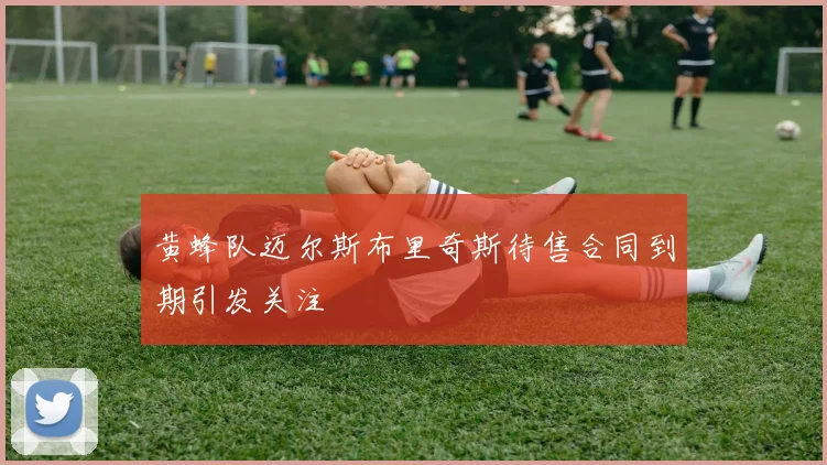 黄蜂队迈尔斯布里奇斯待售合同到期引发关注